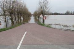 Marais-blancs-2025-51